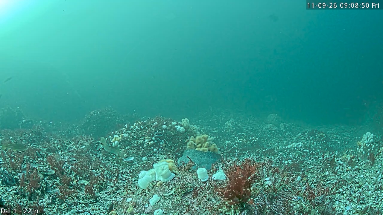 Video 2026-09-11 09:08