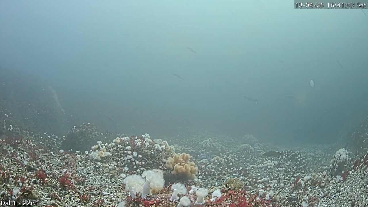 Video 2026-04-18 16:41