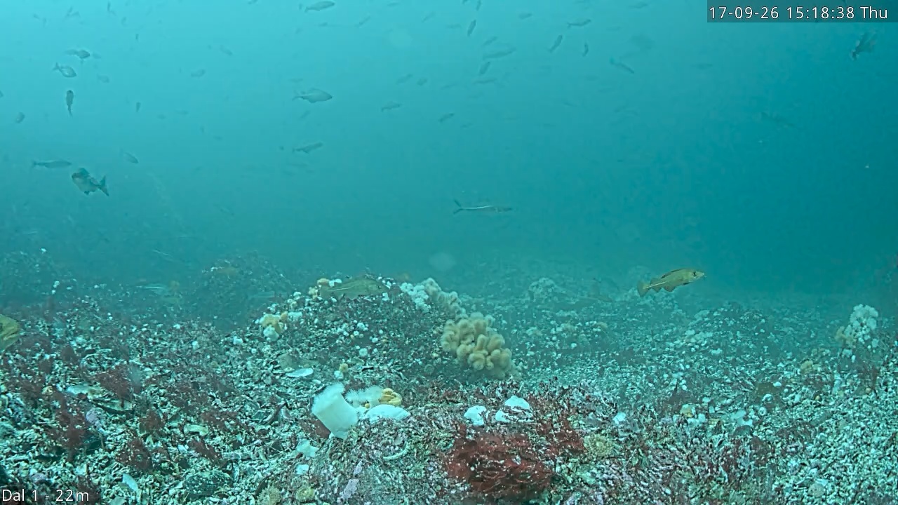Video 2026-09-17 15:18