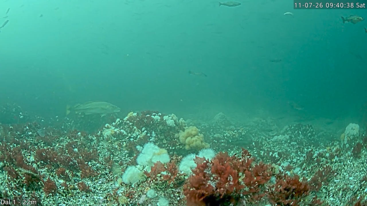 Video 2026-07-11 09:40