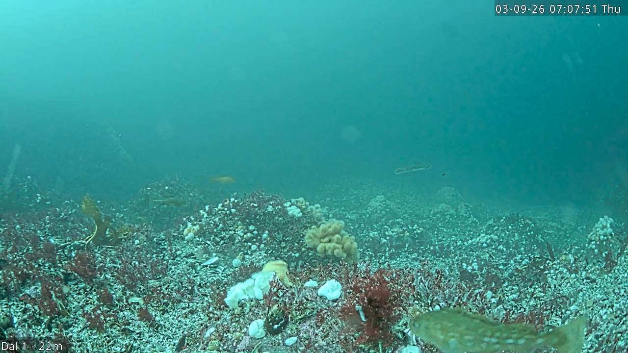 Video 2026-09-03 07:07
