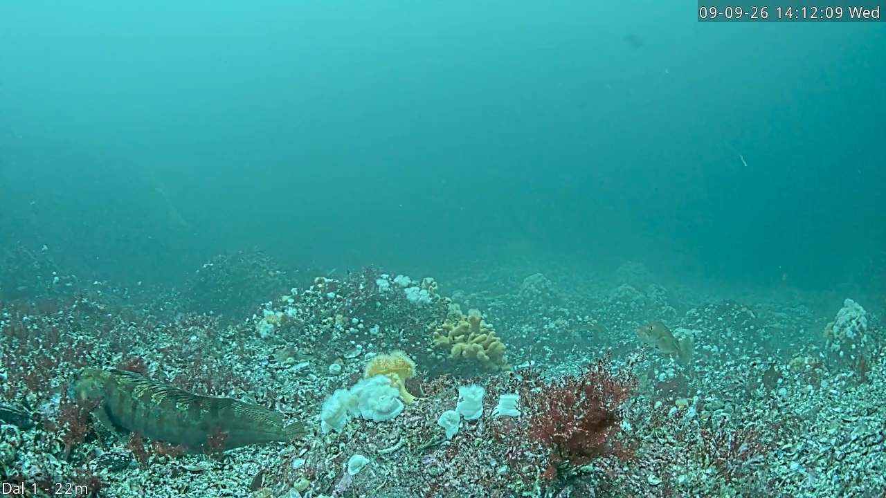 Video 2026-09-09 14:12