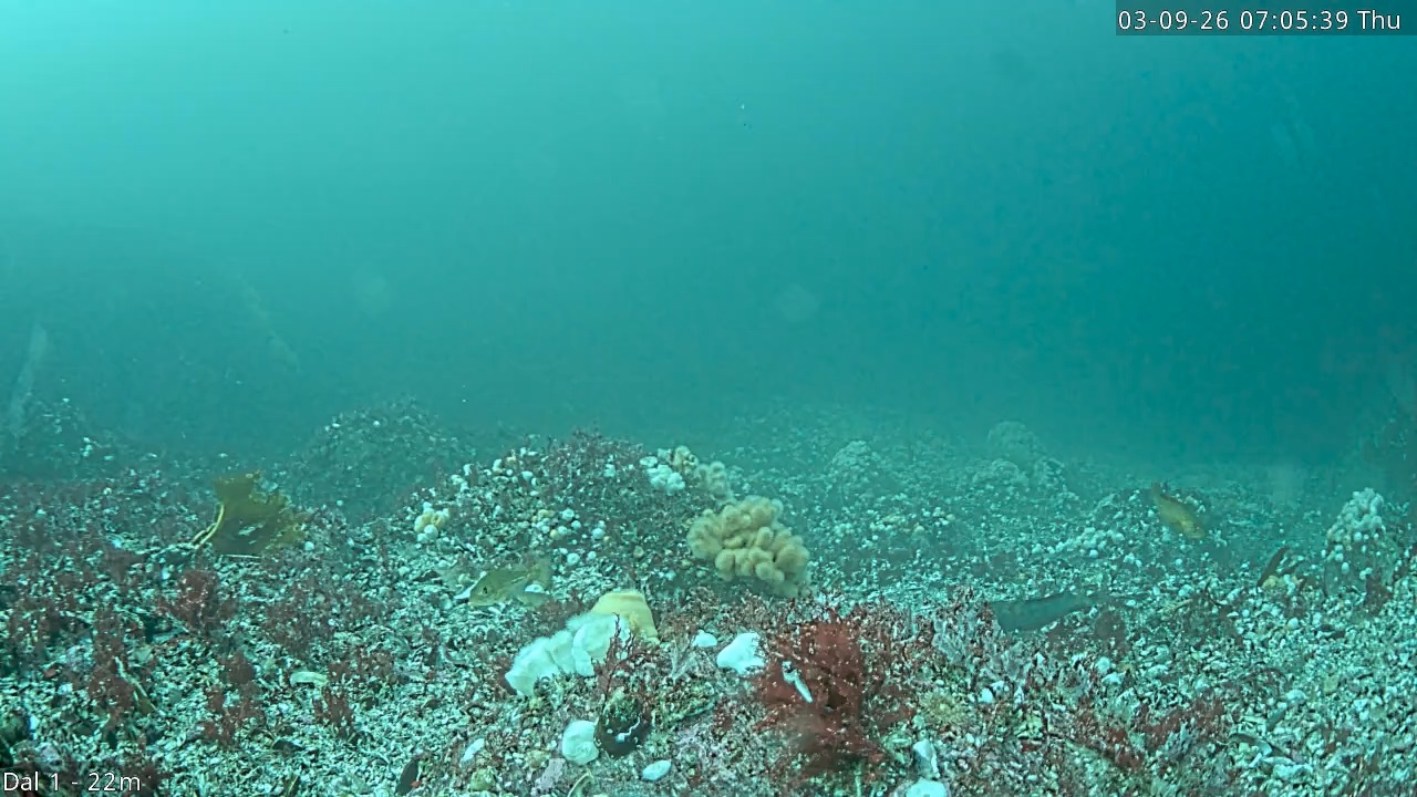 Video 2026-09-03 07:05
