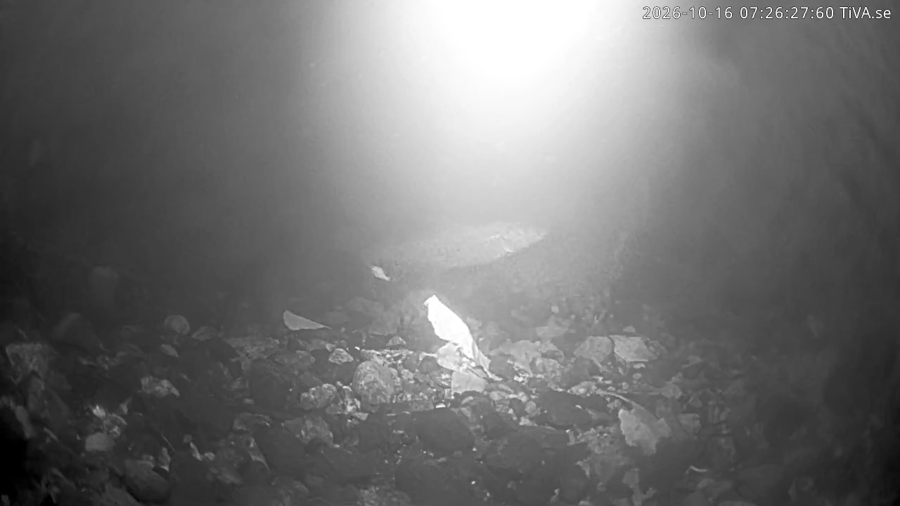 Video 2026-10-16 07:26