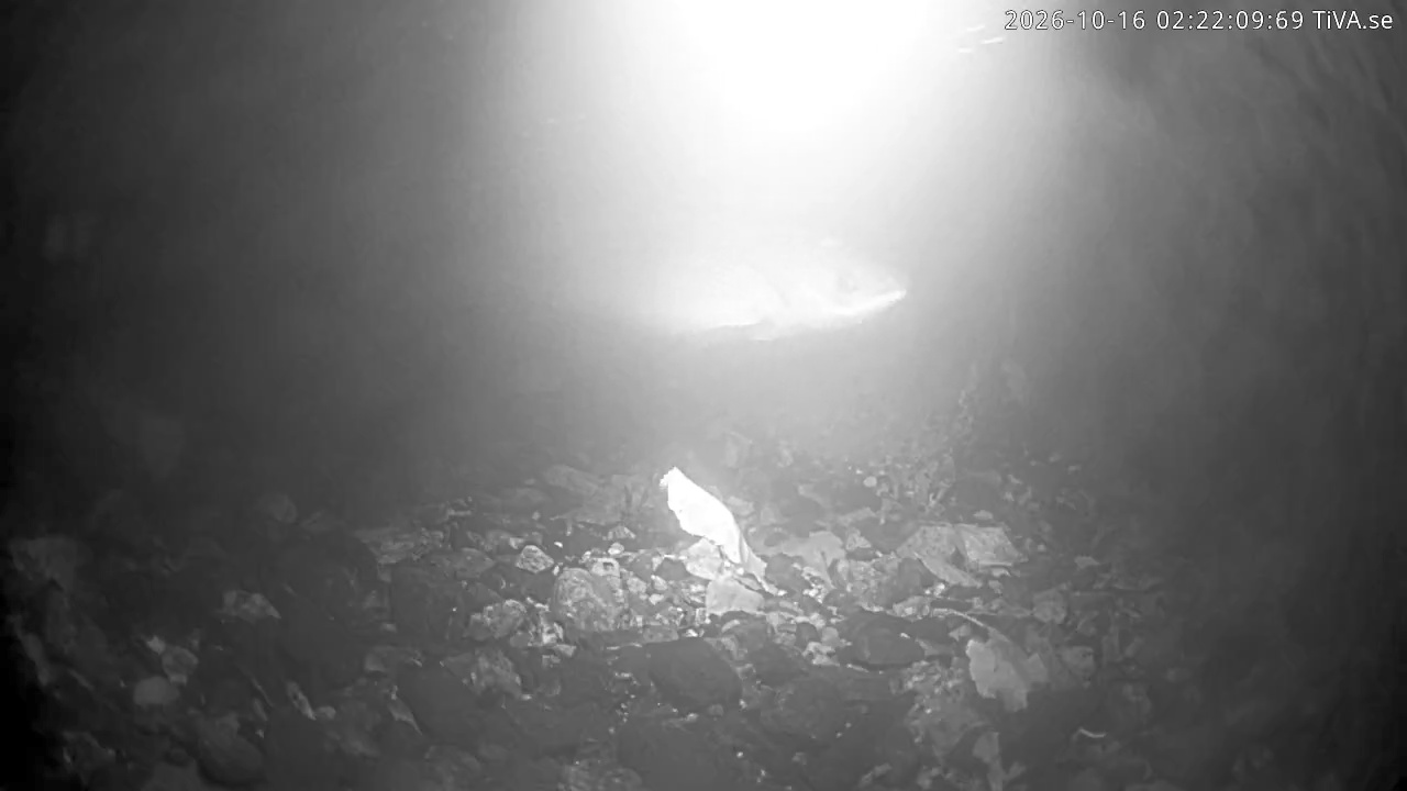 Video 2026-10-16 02:22