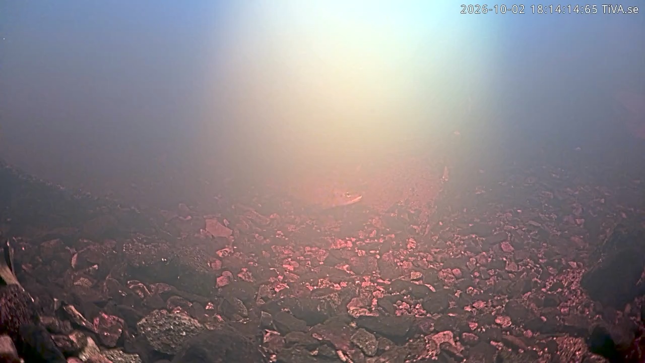 Video 2026-10-02 18:14