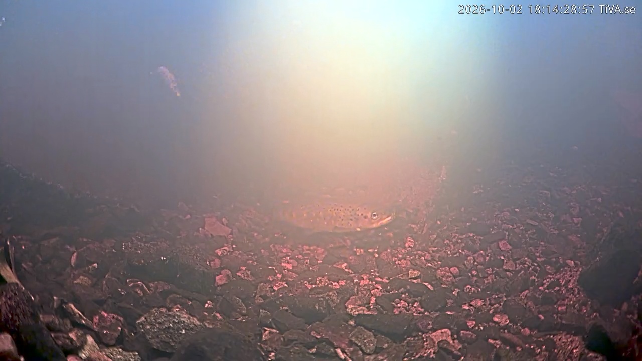 Video 2026-10-02 18:14