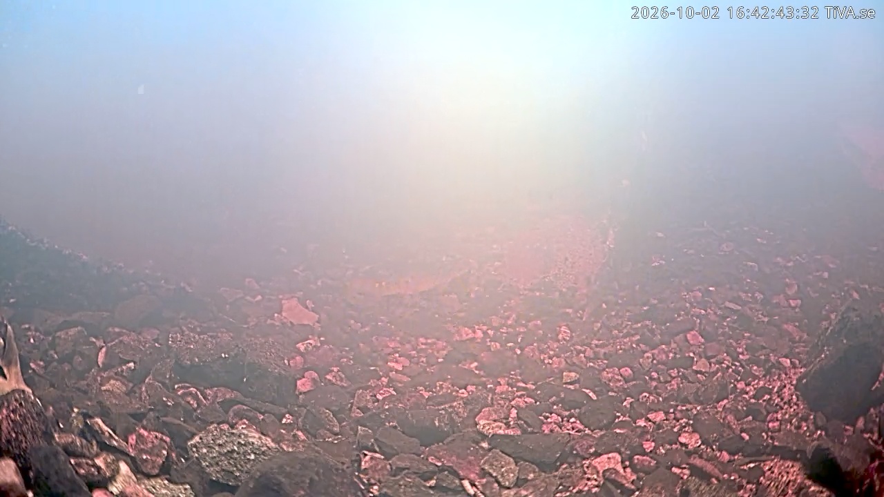 Video 2026-10-02 16:42
