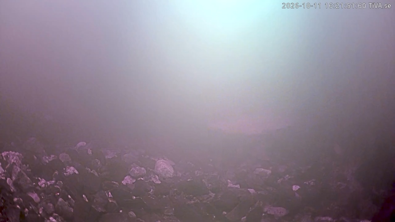 Video 2026-10-11 16:21