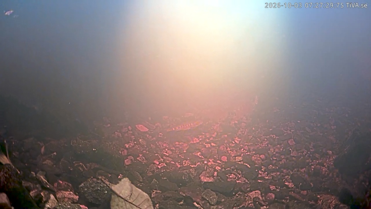 Video 2026-10-03 07:27