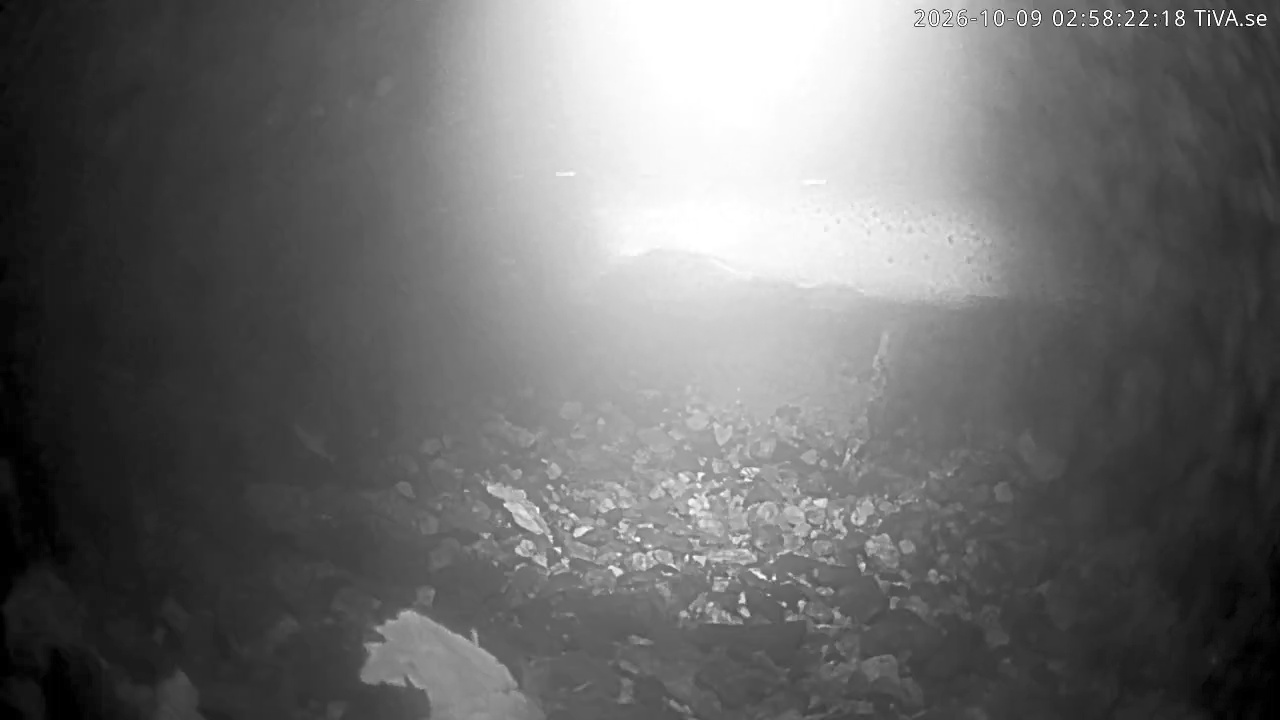 Video 2026-10-09 02:58