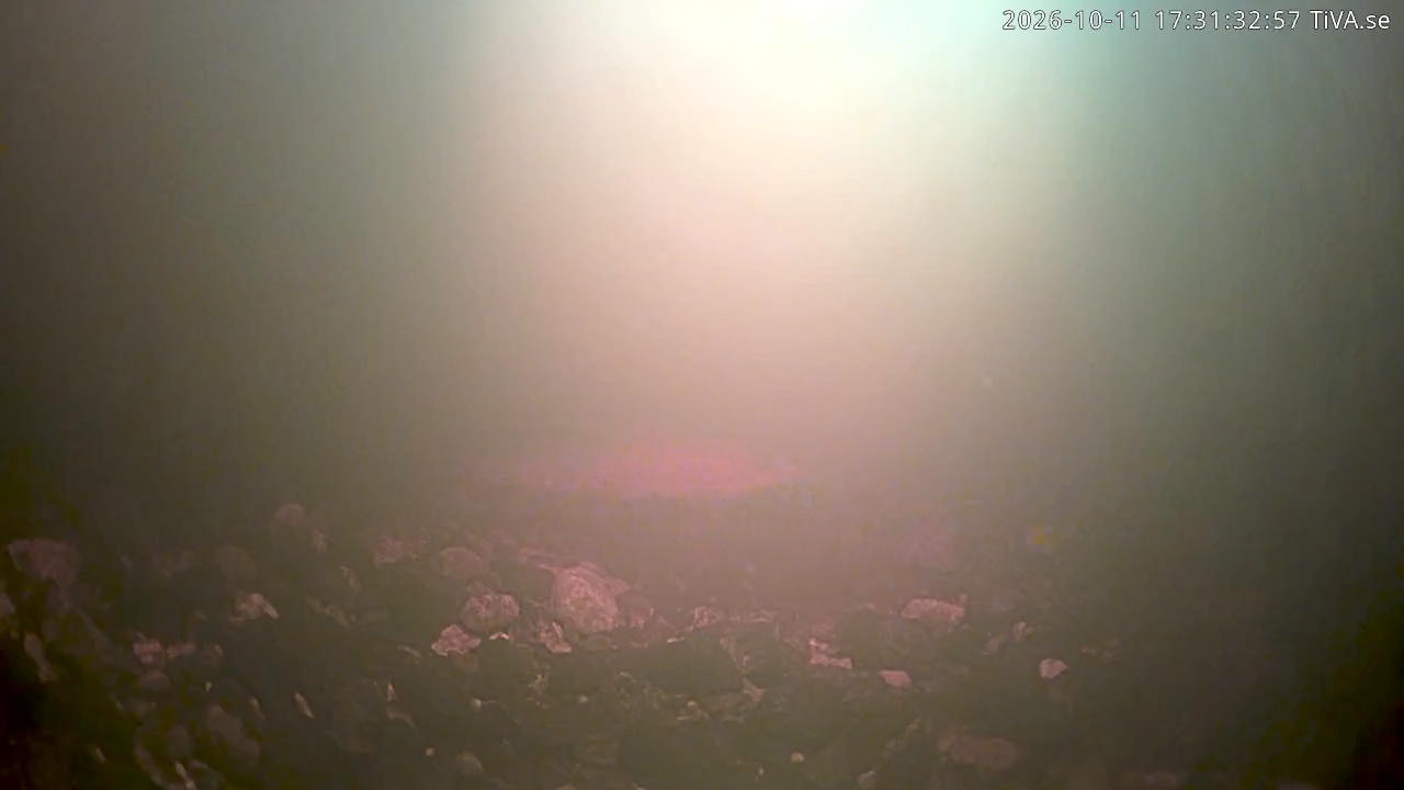 Video 2026-10-11 17:31