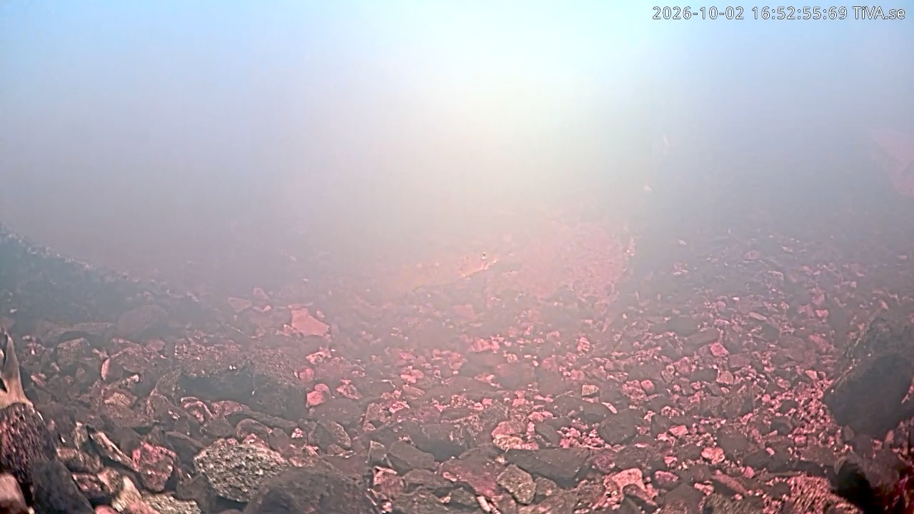 Video 2026-10-02 16:52