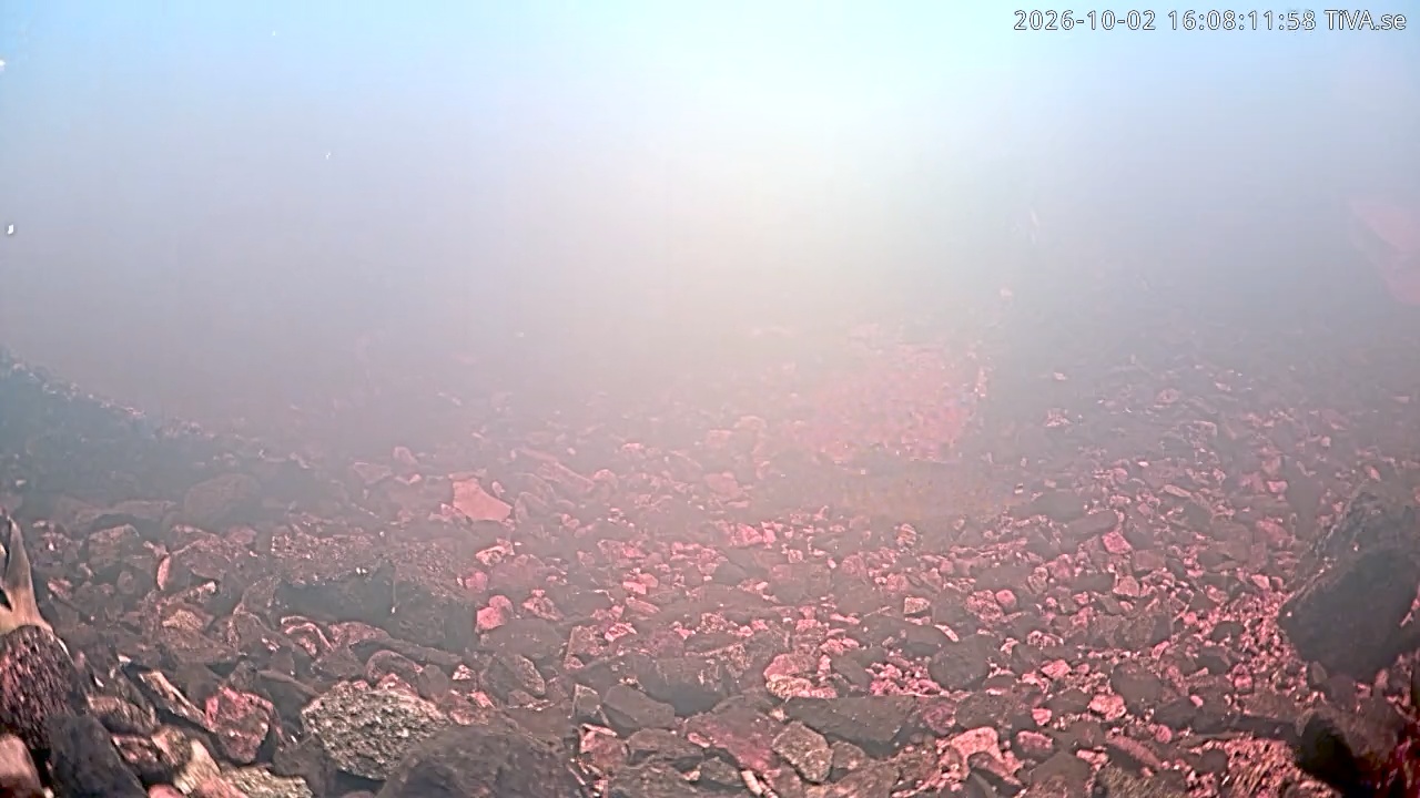 Video 2026-10-02 16:08