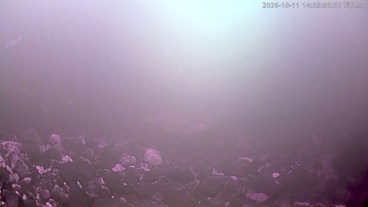 Video 2026-10-11 14:53