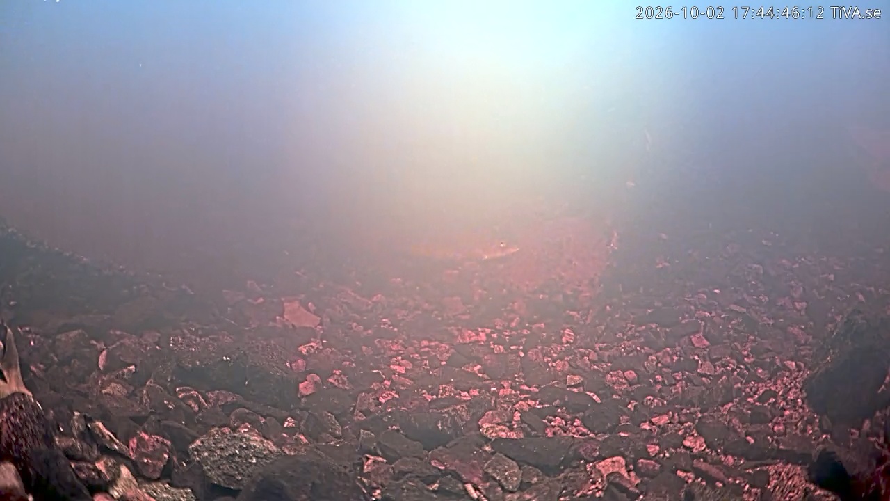 Video 2026-10-02 17:44