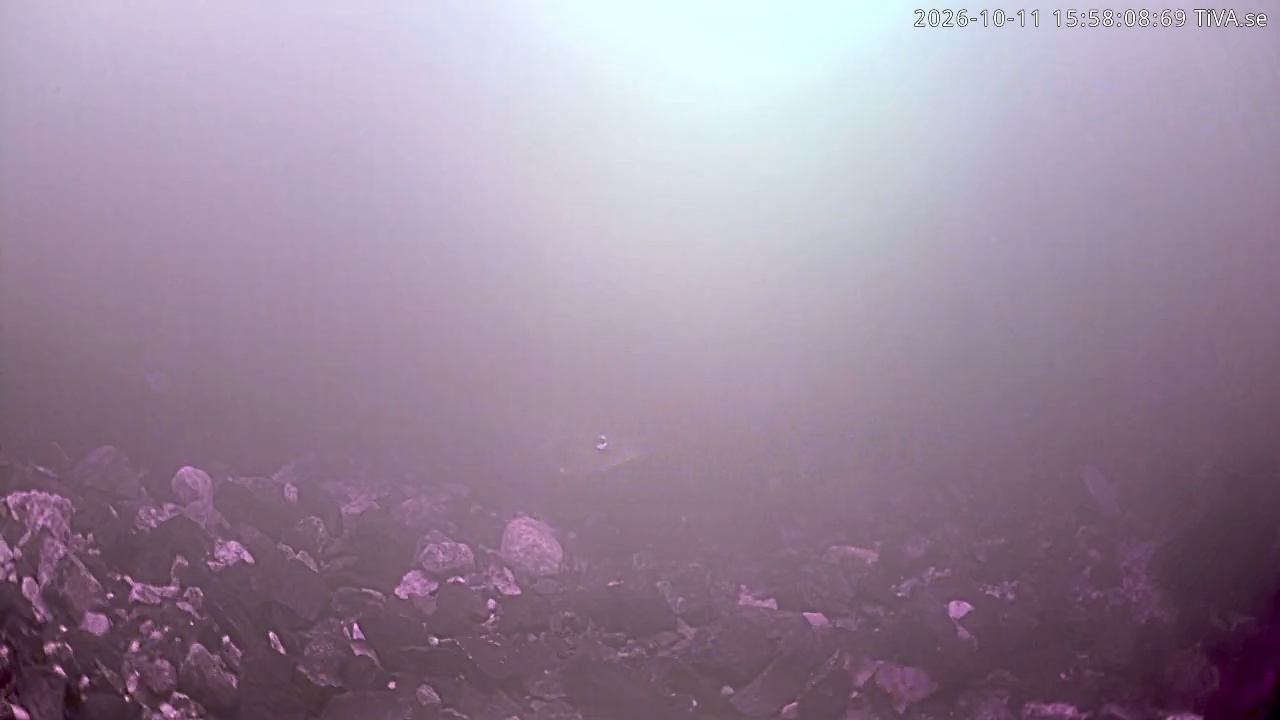 Video 2026-10-11 15:58