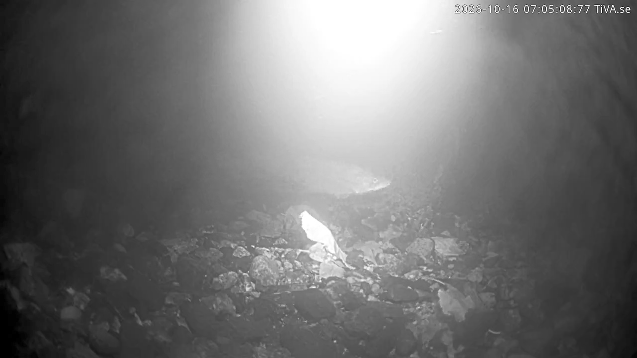 Video 2026-10-16 07:05