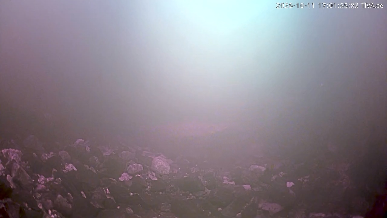 Video 2026-10-11 17:01
