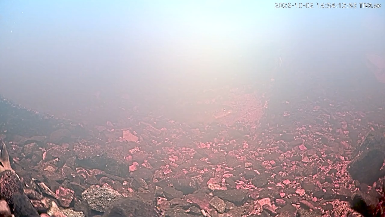 Video 2026-10-02 15:54