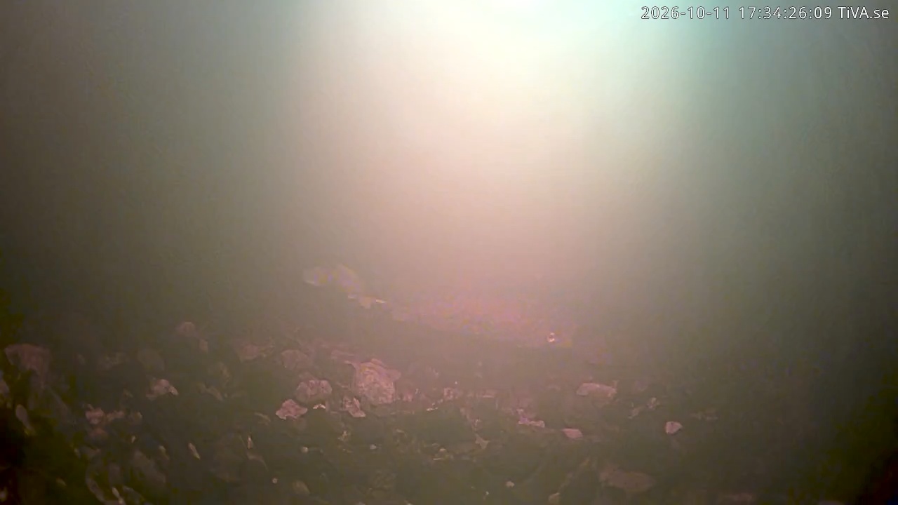 Video 2026-10-11 17:34