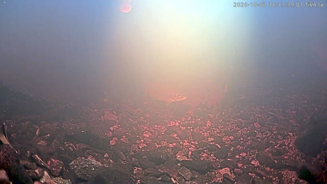 Video 2026-10-02 18:13