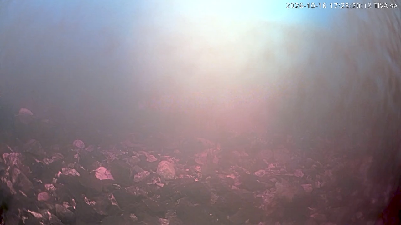 Video 2026-10-16 17:25