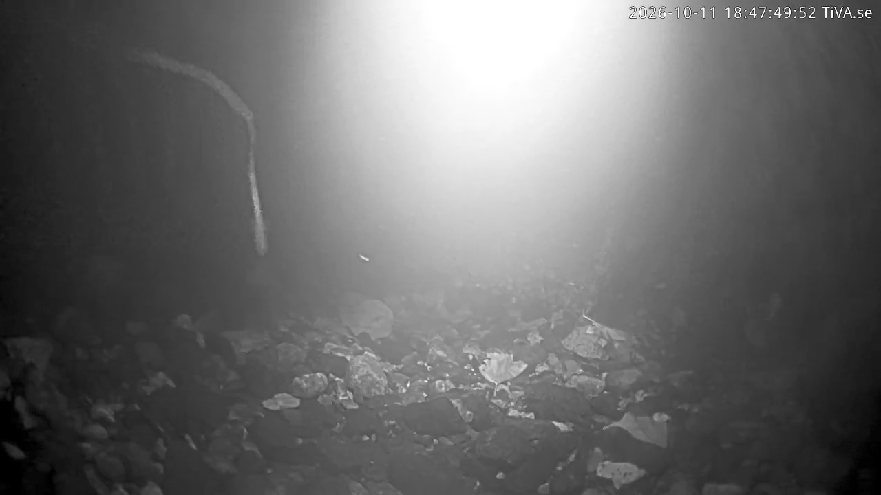 Video 2026-10-11 18:47