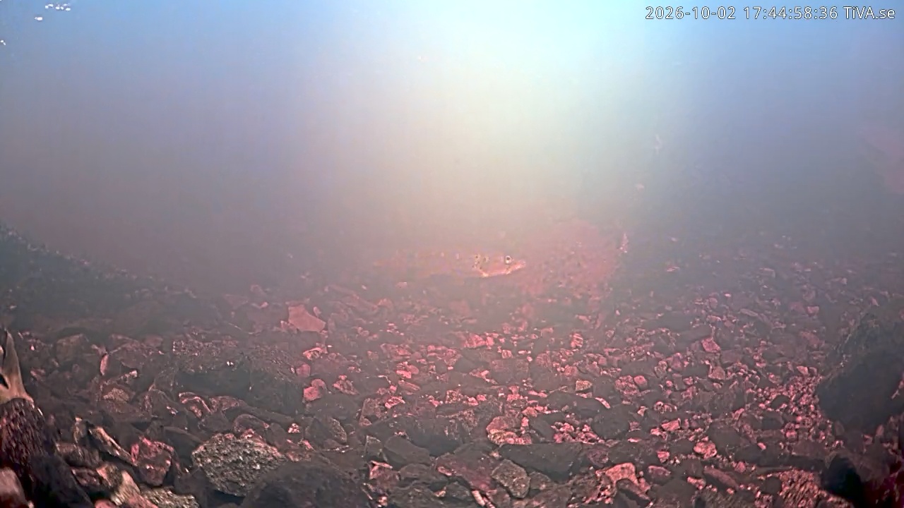 Video 2026-10-02 17:45