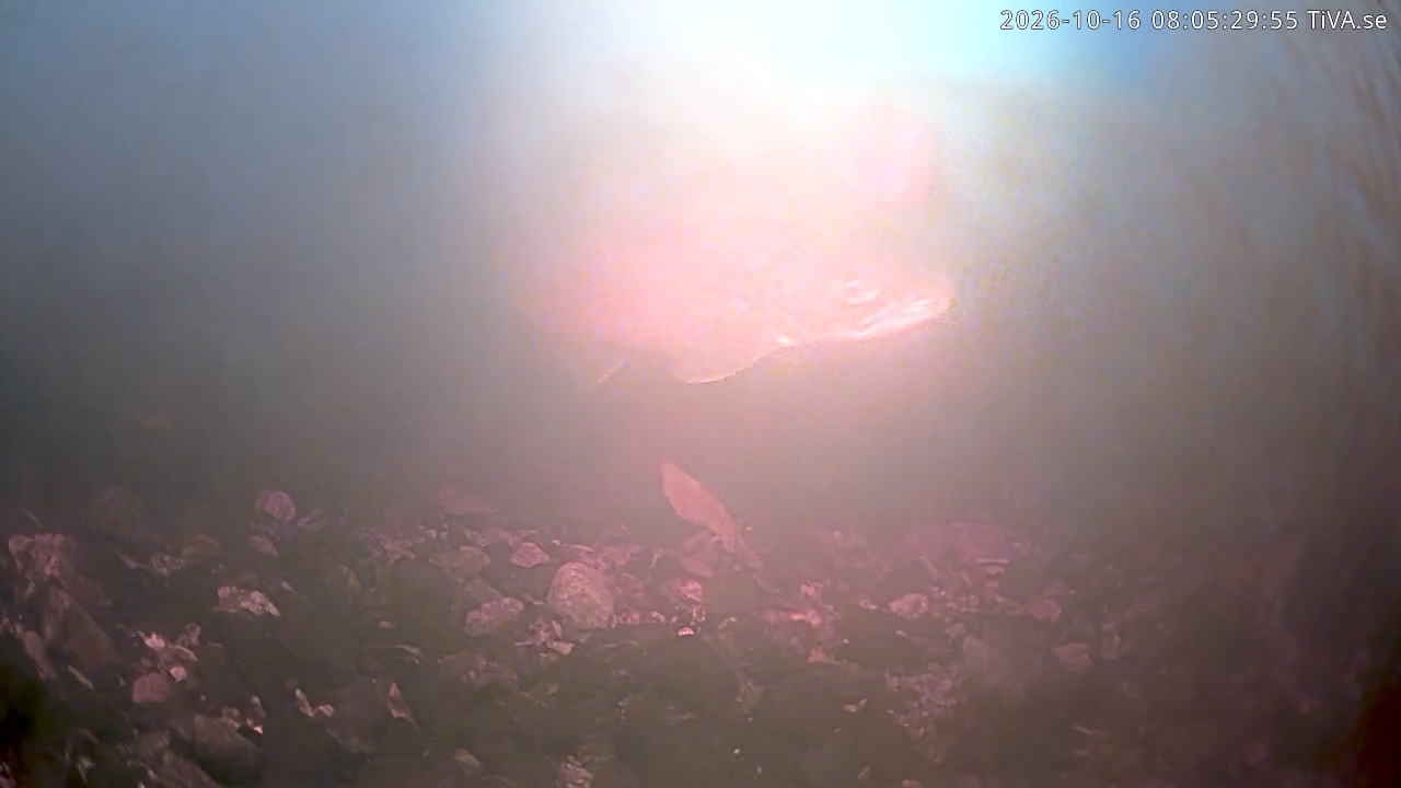 Video 2026-10-16 08:05