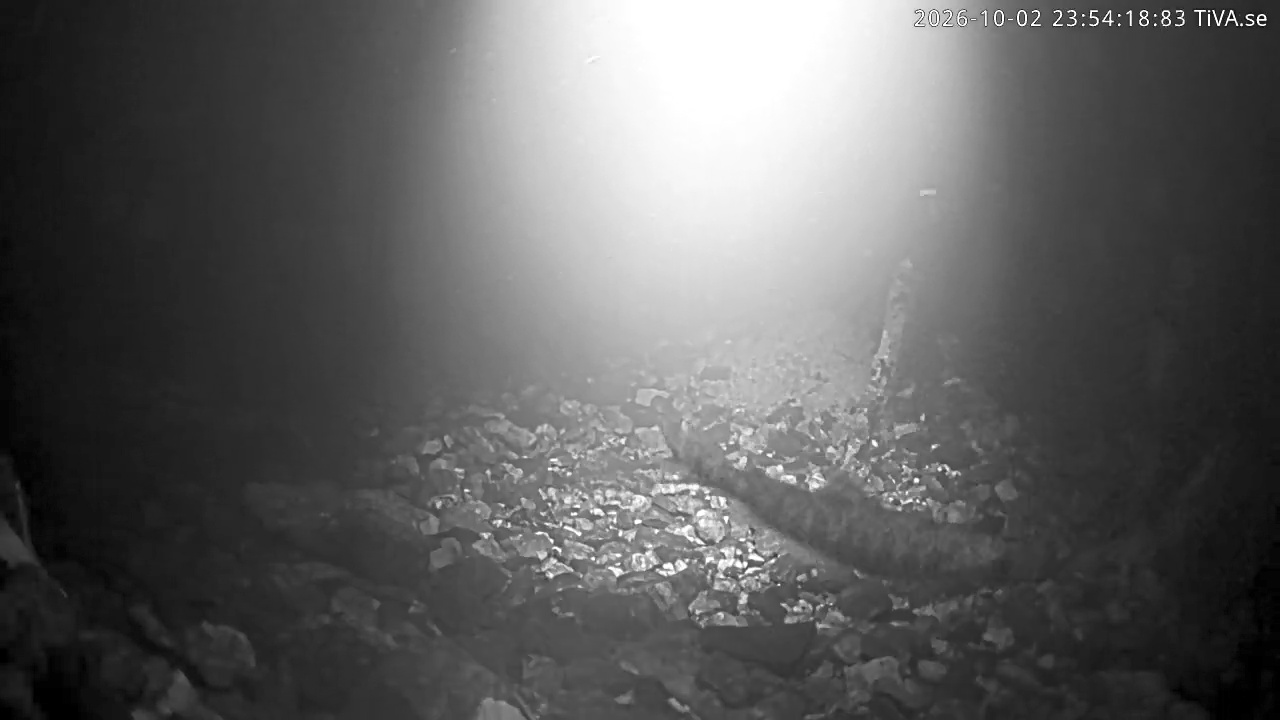 Video 2026-10-02 23:54