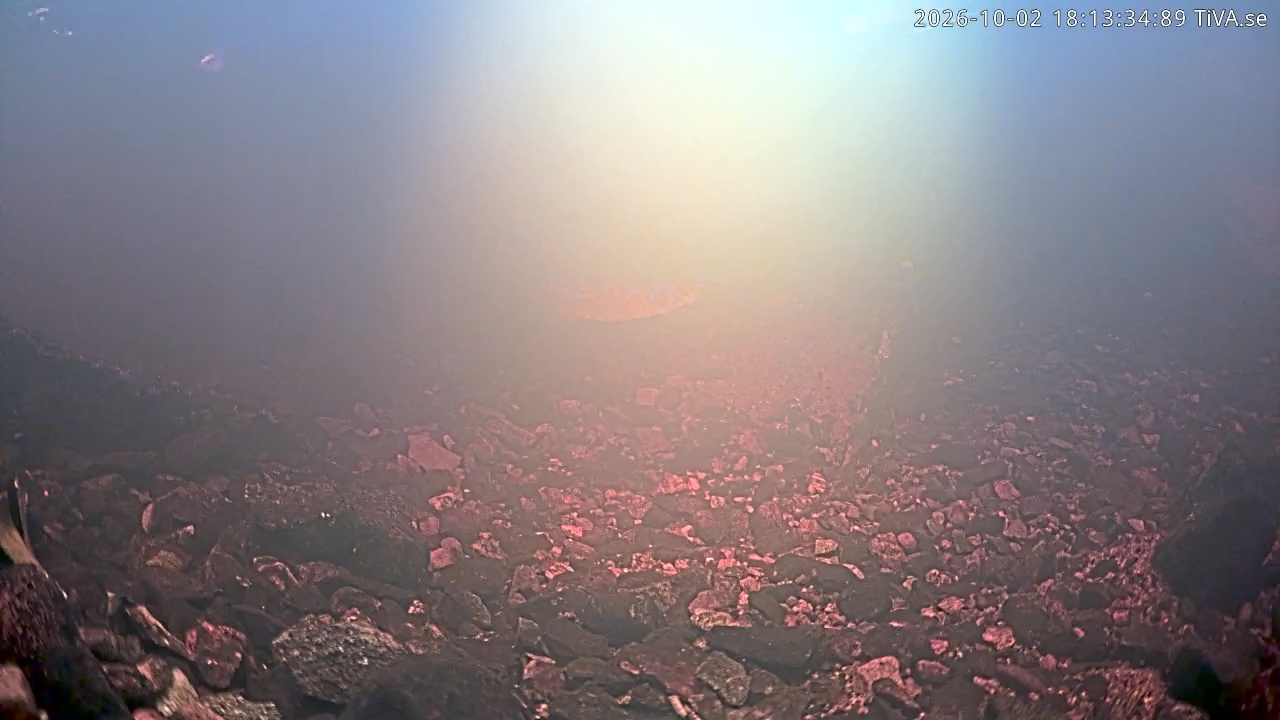 Video 2026-10-02 18:13