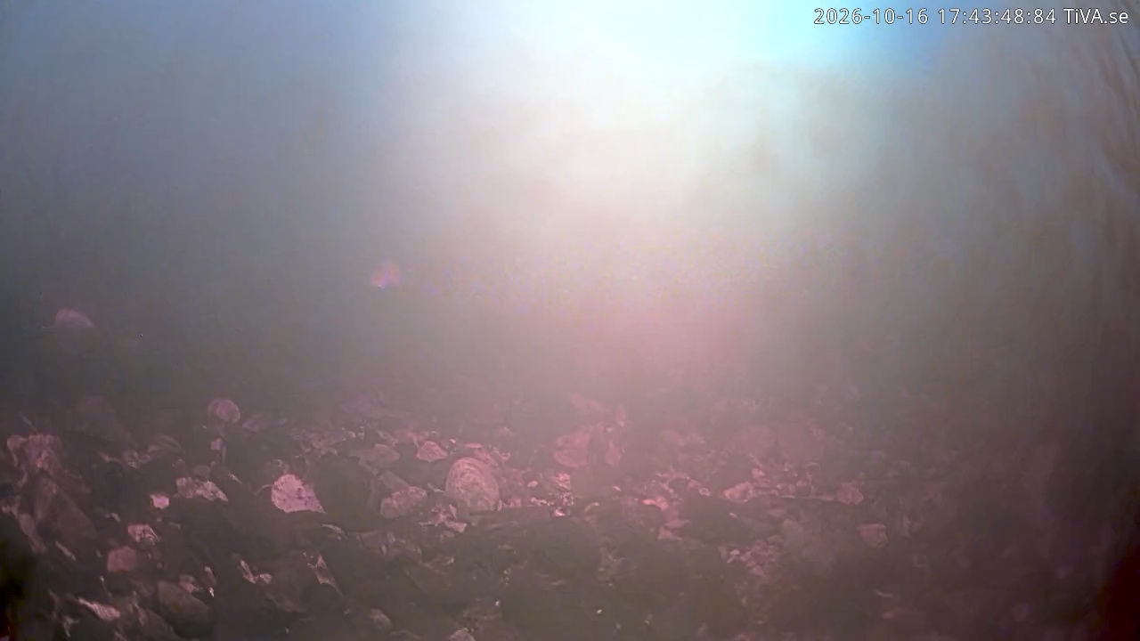 Video 2026-10-16 17:43