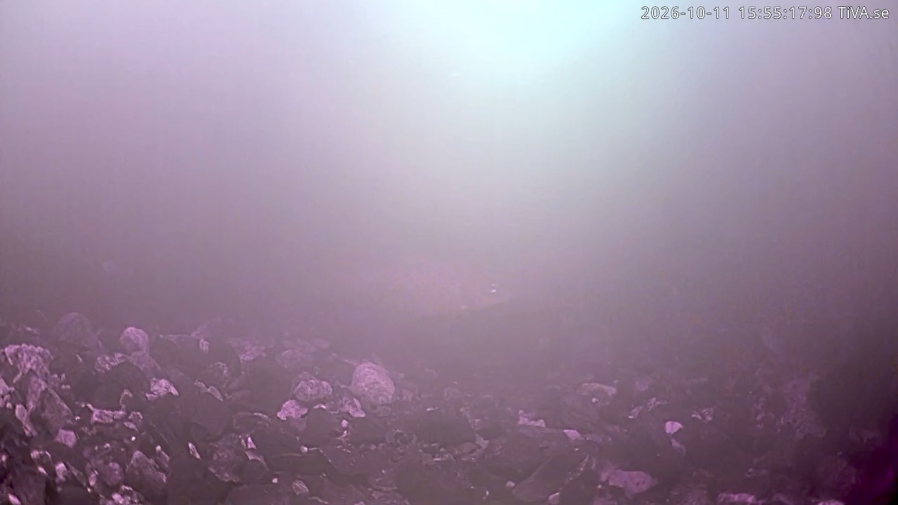 Video 2026-10-11 15:55