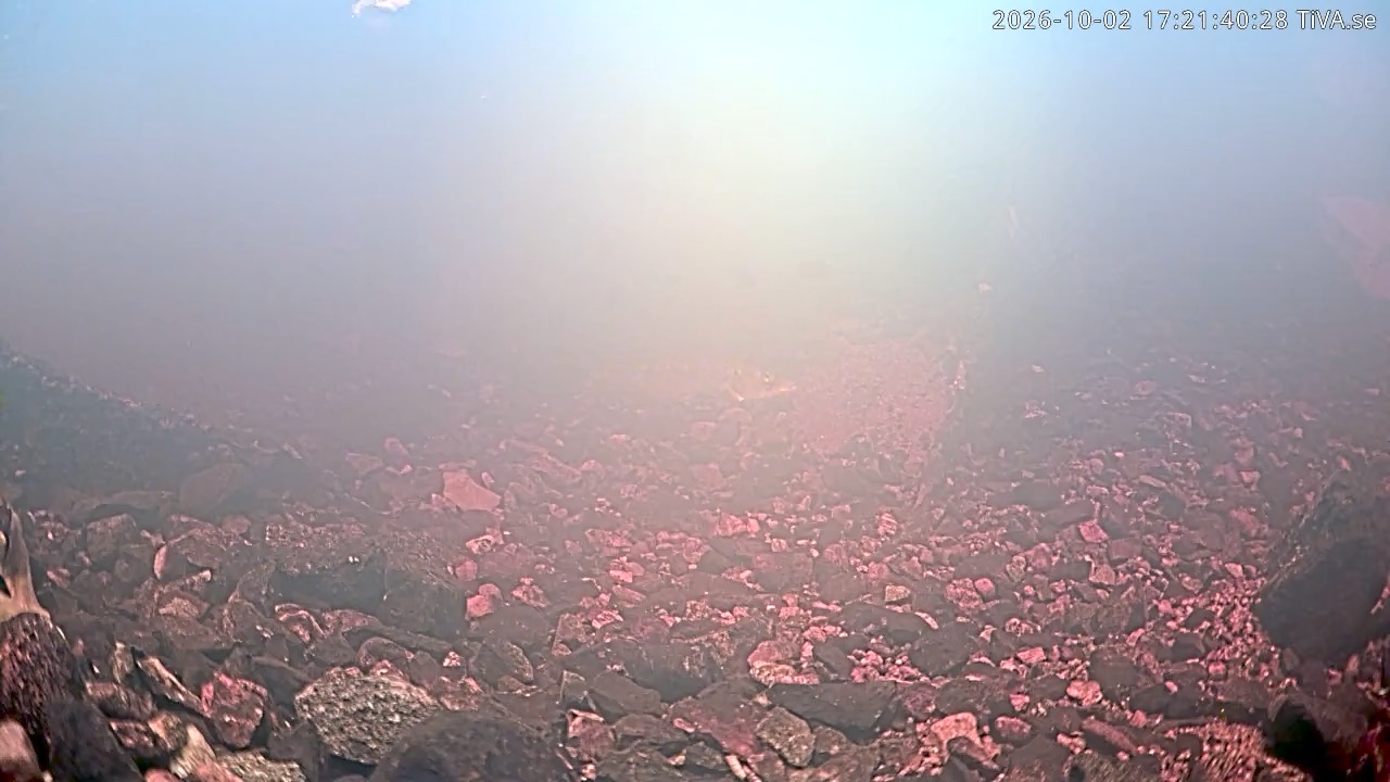 Video 2026-10-02 17:21