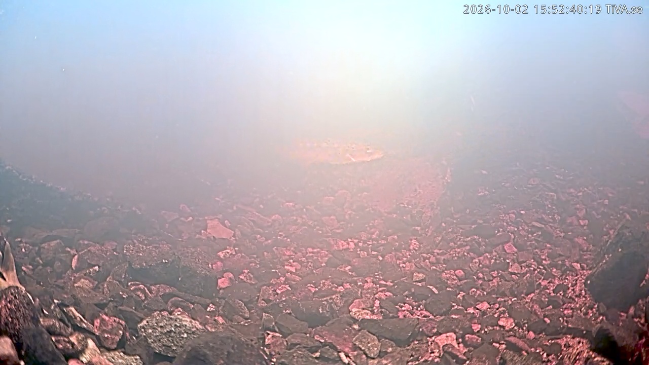 Video 2026-10-02 15:52