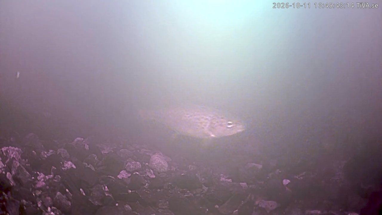 Video 2026-10-11 16:45