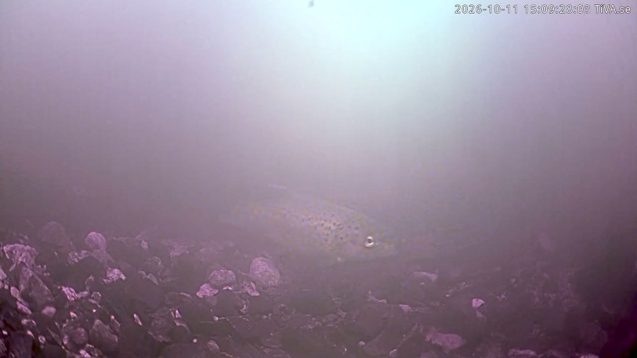 Video 2026-10-11 15:09