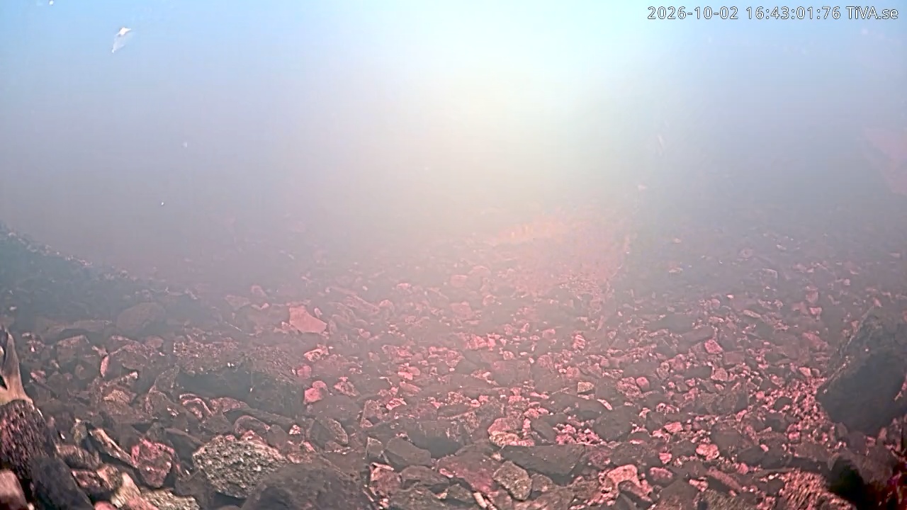 Video 2026-10-02 16:43