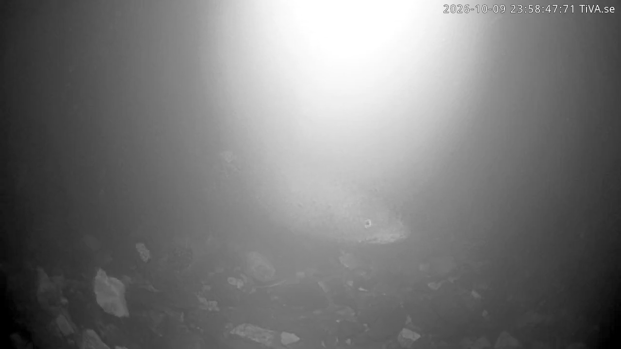 Video 2026-10-09 23:58