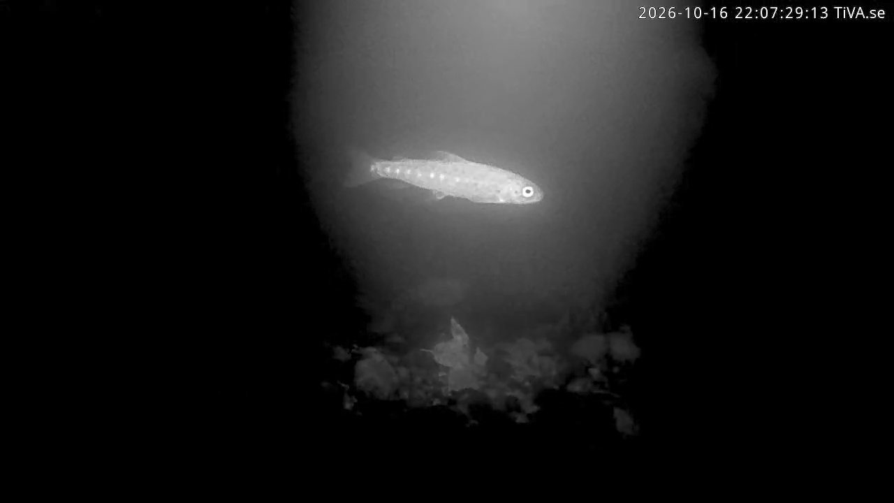 Video 2026-10-16 22:07