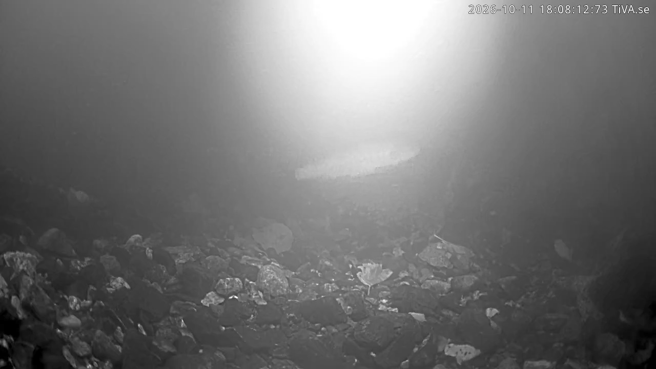 Video 2026-10-11 18:08