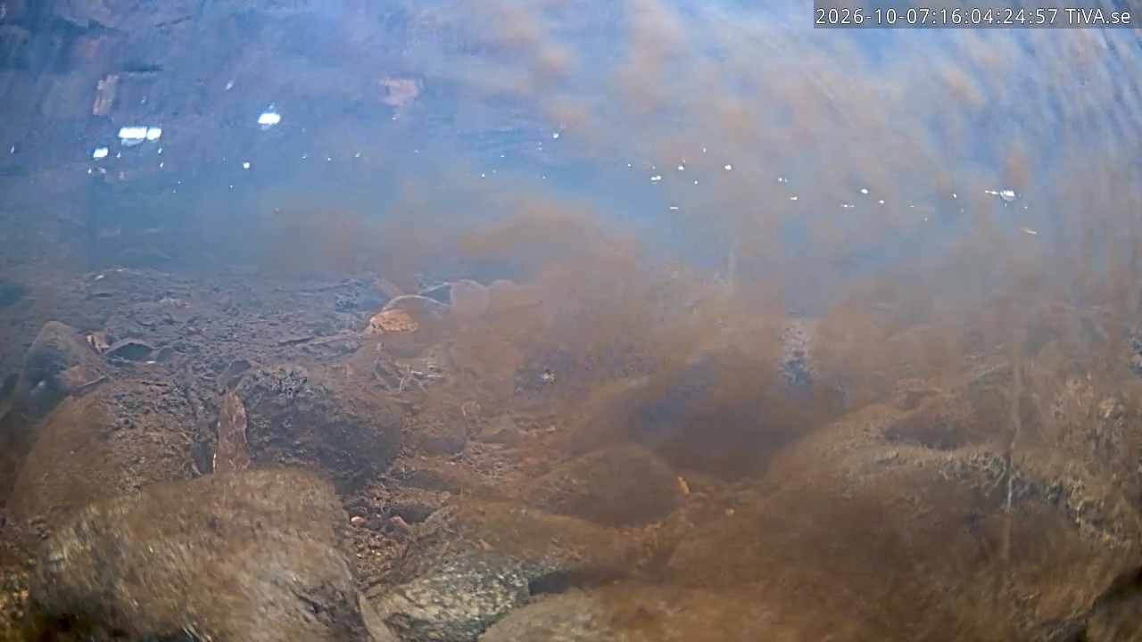 Video 2026-10-07 16:04
