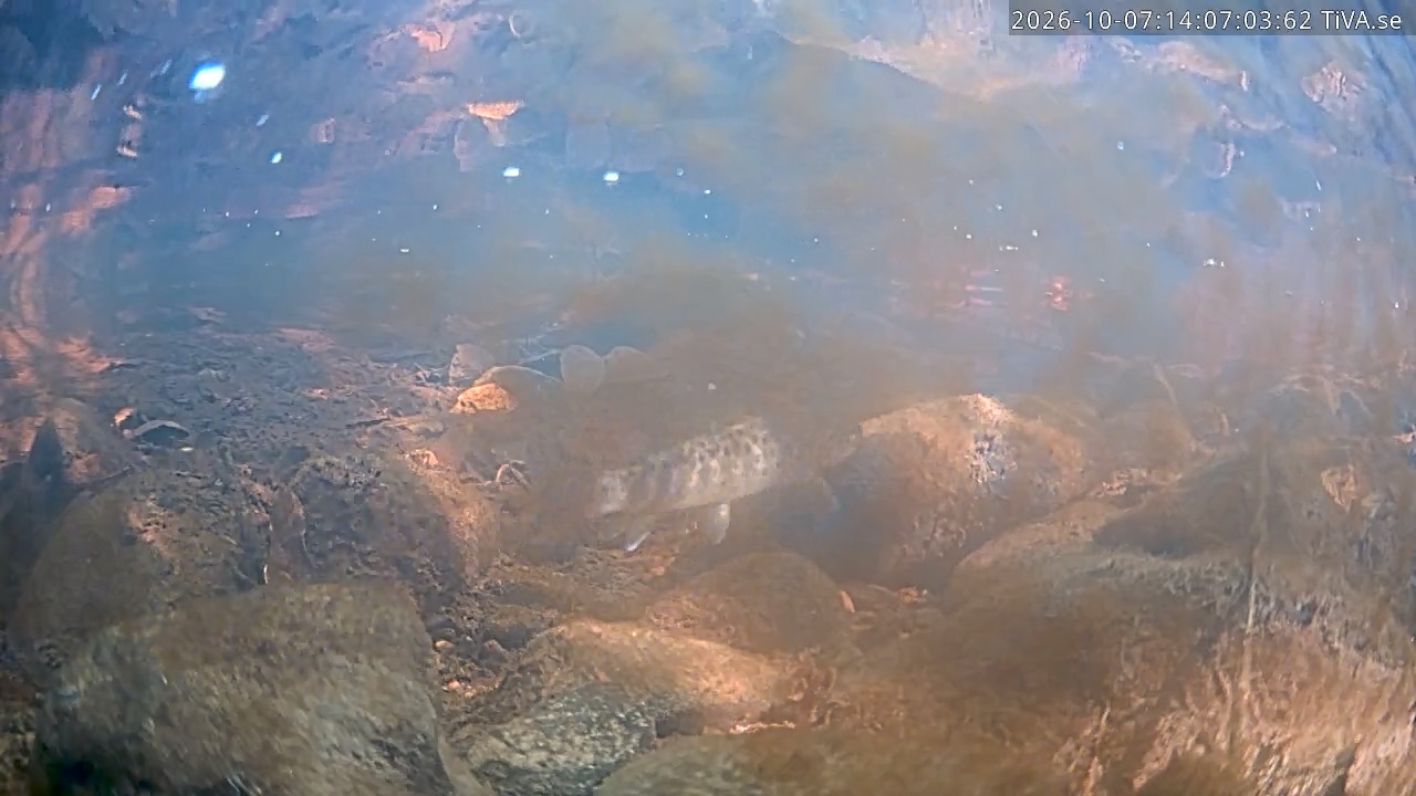 Video 2026-10-07 14:07
