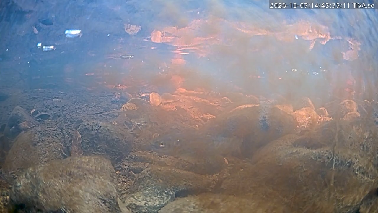 Video 2026-10-07 14:43