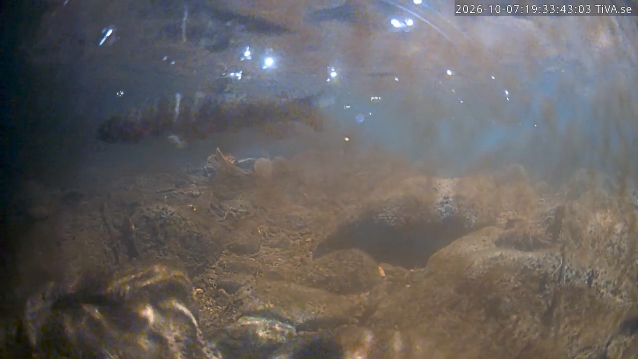 Video 2026-10-07 19:33