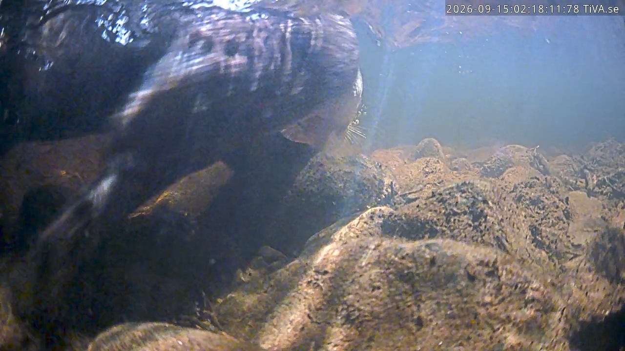 Video 2026-09-15 02:18