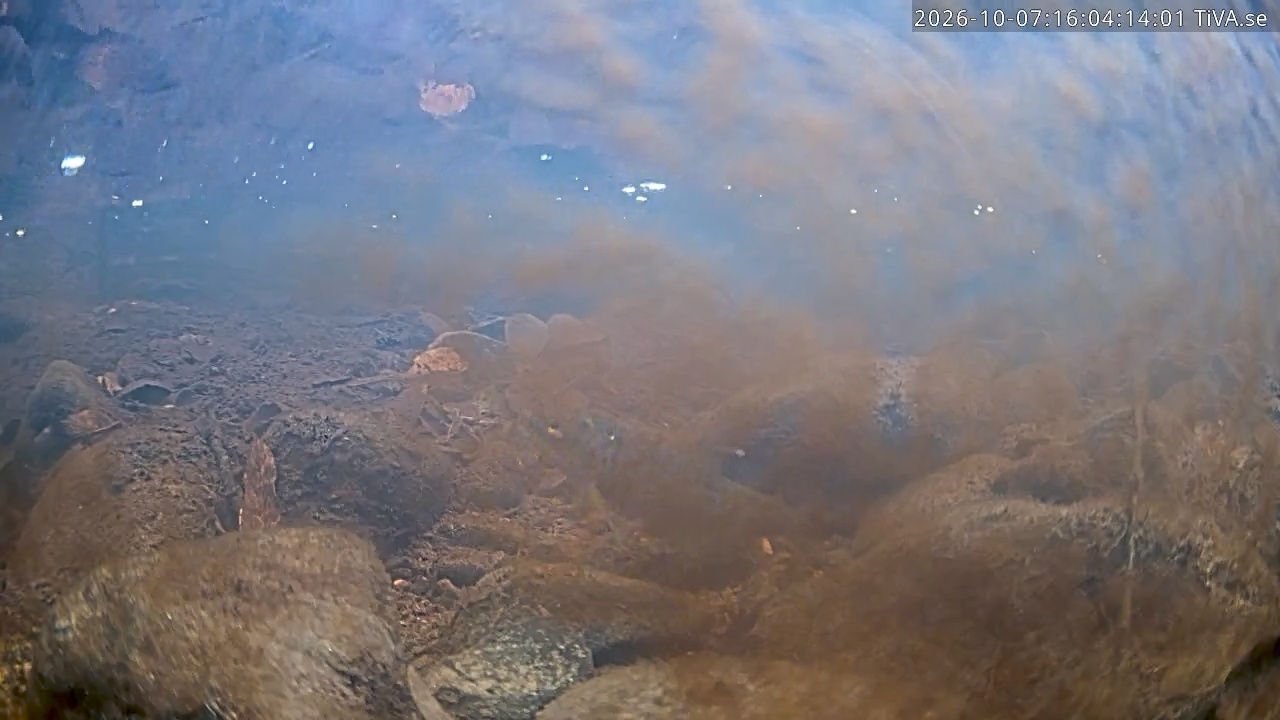 Video 2026-10-07 16:04