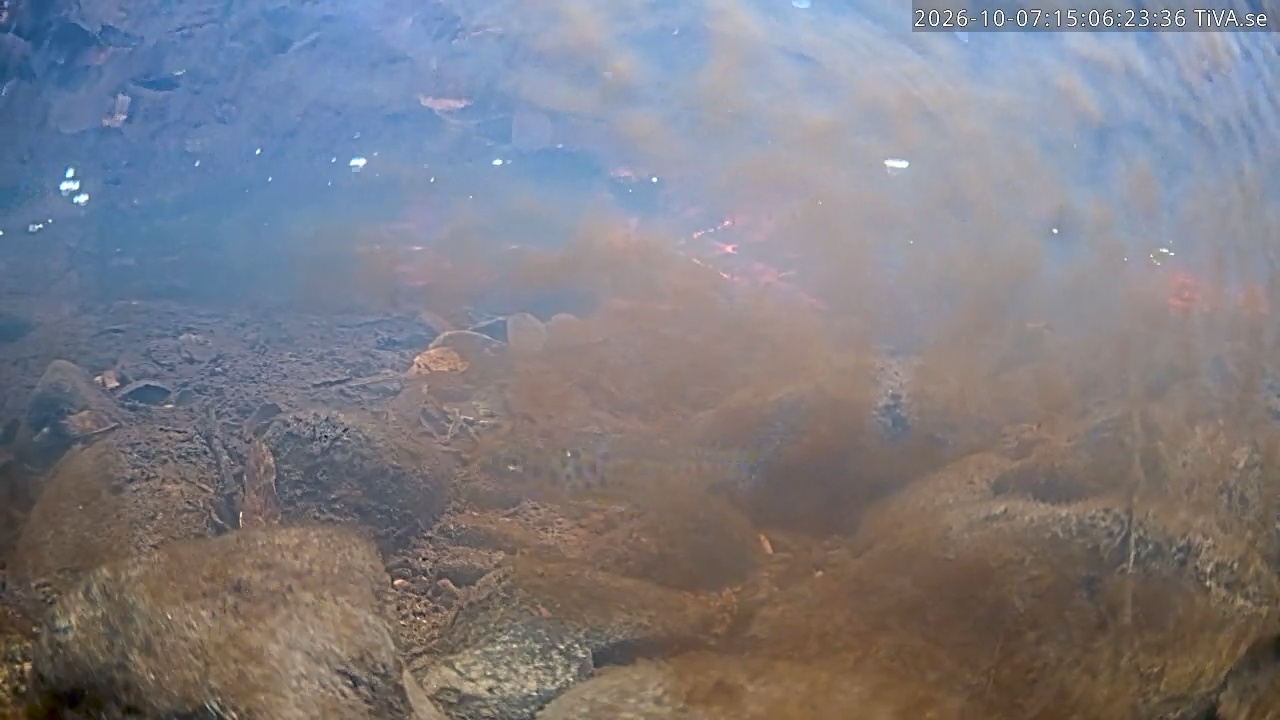 Video 2026-10-07 15:06