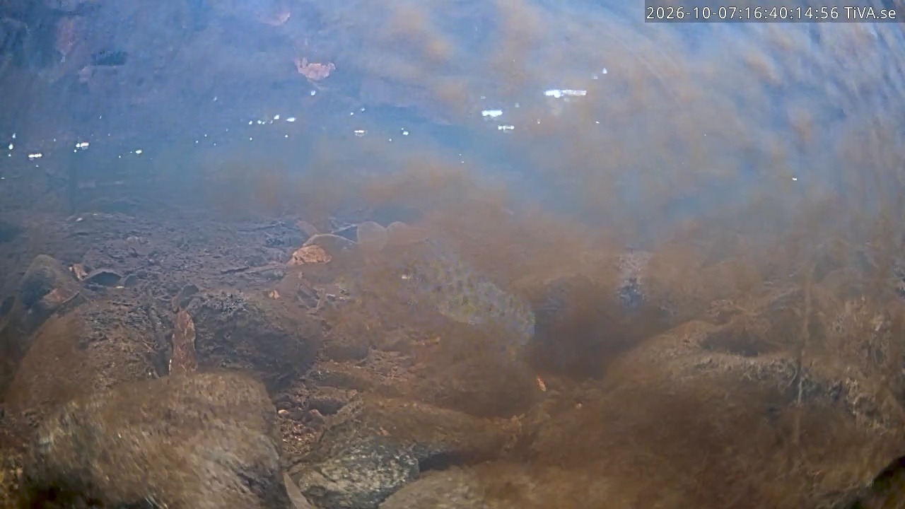 Video 2026-10-07 16:40